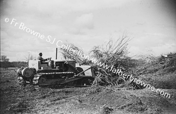 BULLDOZER  CLEARING SCRUB AND TREES  NEAR LAKE